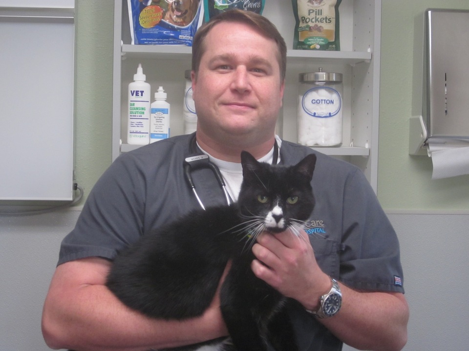 Meet Our Veterinary Team! – Loving Care Animal Hospital