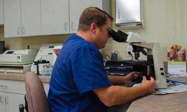 Laboratory - Loving Care Animal Hospital